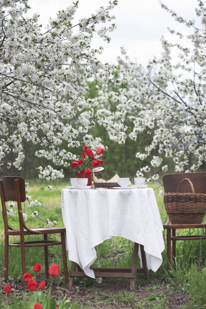 在春天的花园里吃早餐图片下载