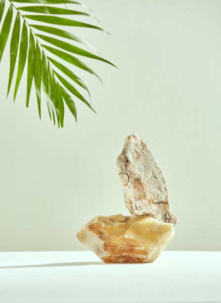 化妆品广告的空石讲台。石座，棕榈叶绿。产品展示的模型图片下载