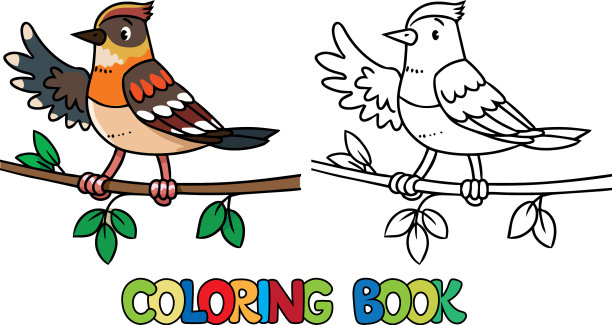 有趣的小鸟农场动物着色书图片下载