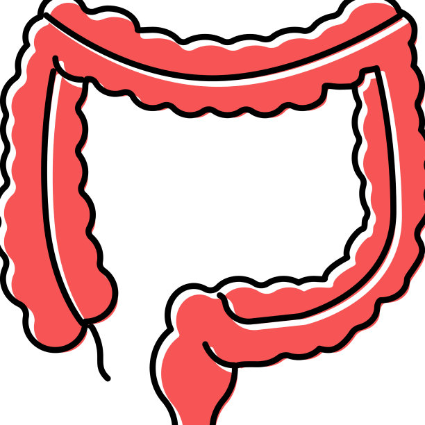 结肠人体器官彩色图标图片下载