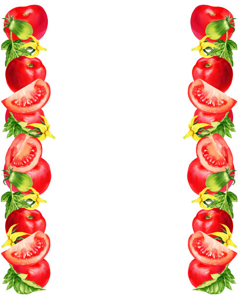 水彩插图番茄，叶子，花，红色蔬菜文字，手绘草图图片下载