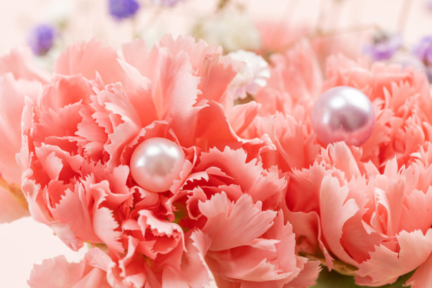 珍珠在花丛中图片下载