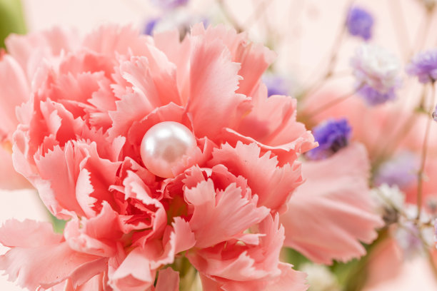 珍珠在花丛中图片下载