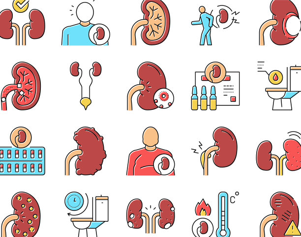肾炎肾集图标集图片下载