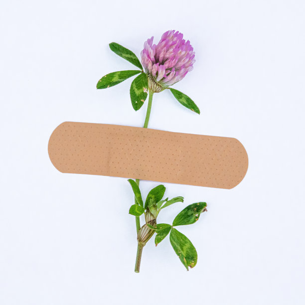 白色背景上孤立的贴片条图片下载