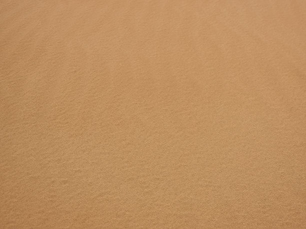 阿联酋阿布扎比沙漠景观特写图片下载