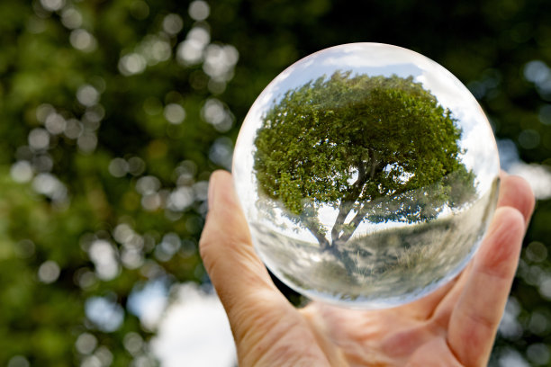 专注于照顾自然和气候与自然显示在一个水晶球与自然周围图片下载