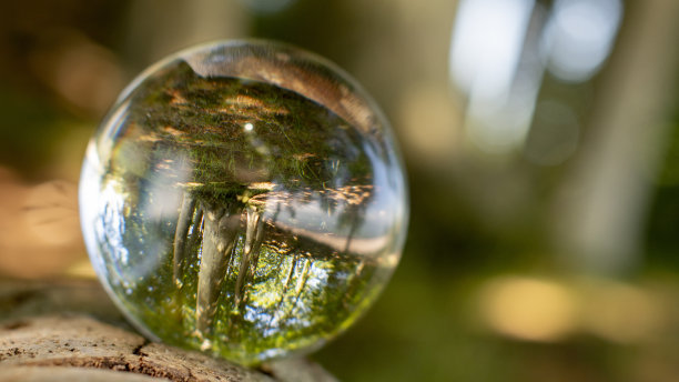 专注于照顾自然和气候与自然显示在一个水晶球与自然周围图片下载