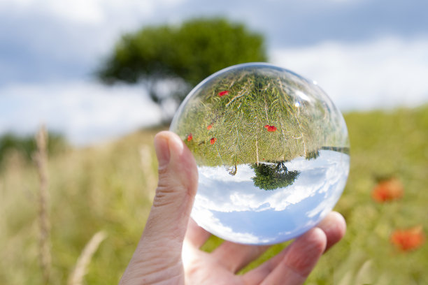专注于照顾自然和气候与自然显示在一个水晶球与自然周围图片下载