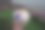 用椰子壳做成的杯子里装着嫩椰子冰淇淋。图片下载