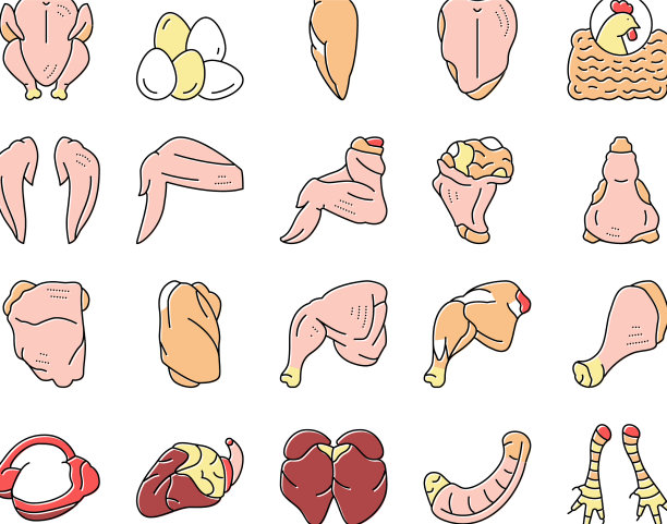 鸡动物农场生肉食品图标设置图片下载