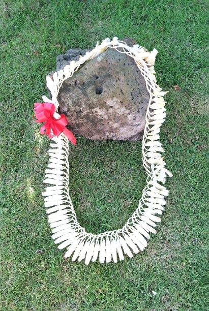 夏威夷花在绿草地上，覆盖在熔岩岩石上图片下载