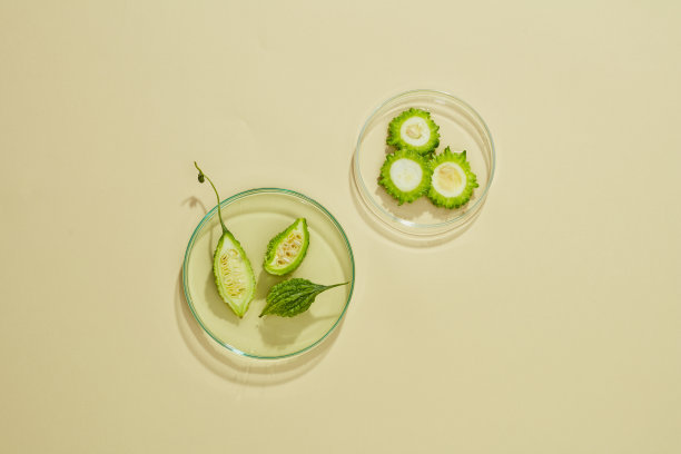 苦瓜在培养皿中的俯视图，绿叶和空白的粉红色背景图片下载