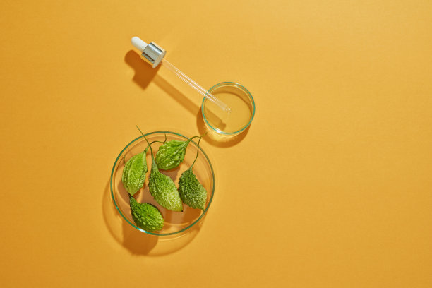 苦瓜在培养皿中的俯视图，绿叶和空白棕色背景图片下载