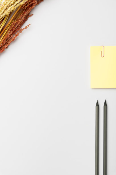 采购产品华丽的学校办公用品，明亮的教学学习集合，创造性的写作工具，教育的东西，混合学生的东西钢笔纸笔记本便笺铅笔图片下载