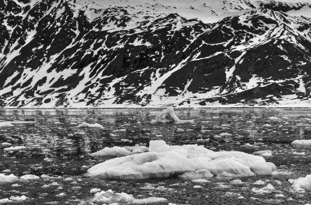 斯瓦尔巴群岛的冰山和冰块漂浮在海上。黑白照片。图片下载
