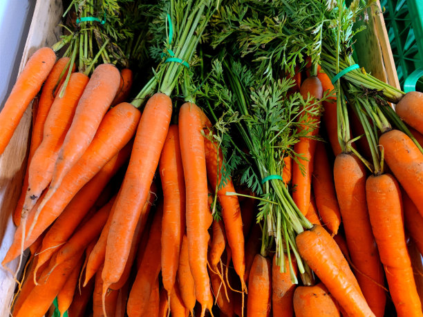 近距离拍摄的美味新鲜的胡萝卜堆放在超市的货架上出售图片下载