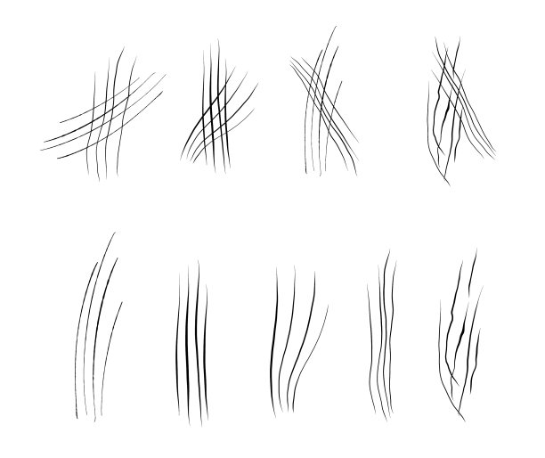 动物抓伤组图片下载