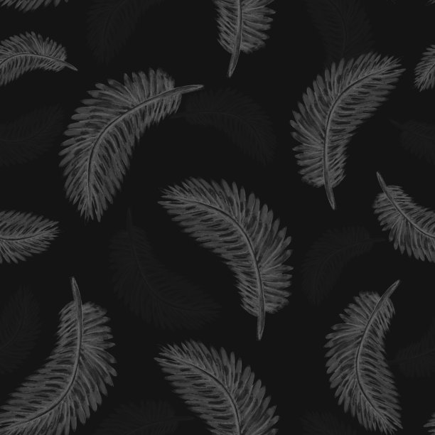 水彩图案银色鸟羽毛在黑暗的背景为您无缝设计，手绘插图图片下载