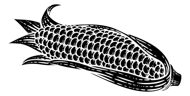 玉米蔬菜复古木刻插图图片下载