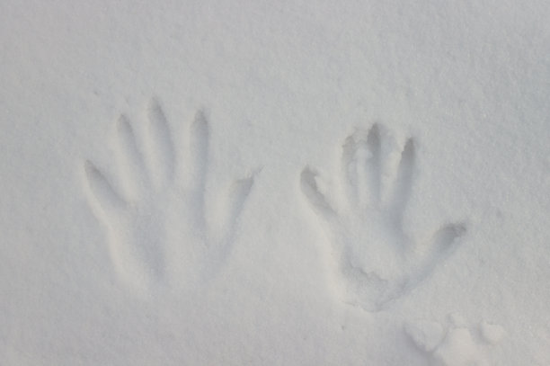雪地上的手印图片下载