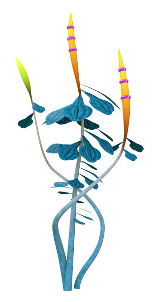 幻想中的植物孤立在白色背景上图片下载