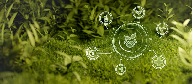 资源可再生，可持续发展。基于可再生能源的绿色企业可以限制气候变化3D渲染图片下载