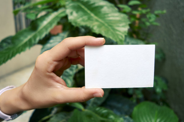 绿叶背景手持空白卡图片下载