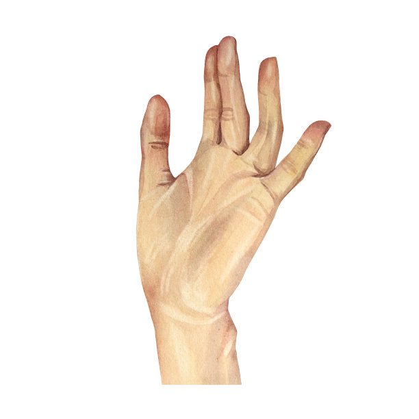 水彩伸出人的手孤立在白色背景。手绘的手势帮助或善意的卡片邀请和贴纸。剪纸艺术为美丽的美甲，化妆品，庆祝婚礼图片下载