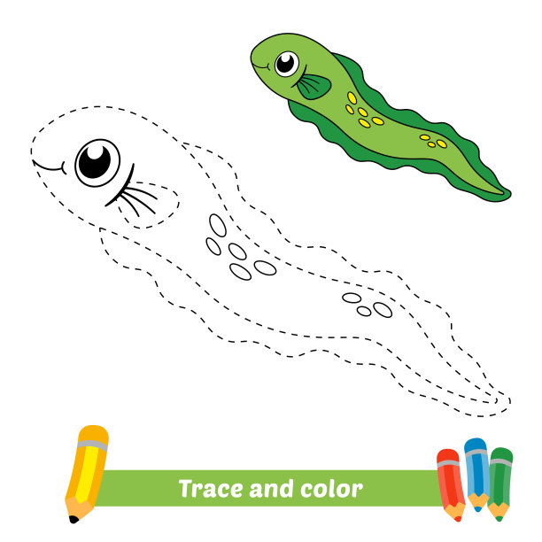 微量和颜色的孩子鳗鱼图片下载