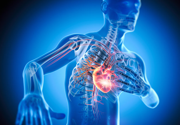 人类心脏病发作- 3d插图图片下载