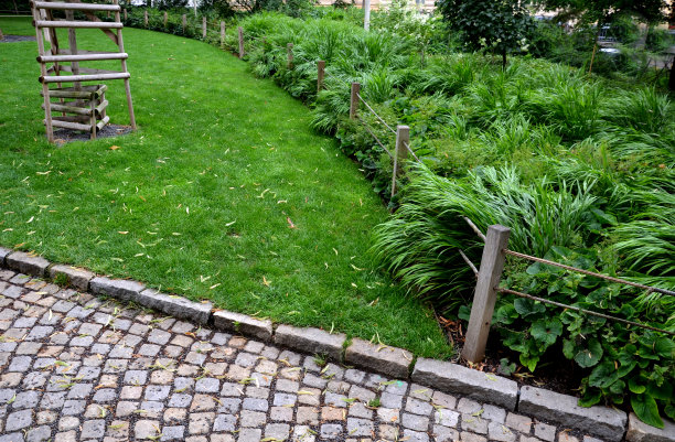 看起来绝对豪华，特别是种植在更大的束或更大的区域。是园林设计师的最爱。丰富的丛生长提供丰满，但柔软，通风的效果，阴影，花园图片下载