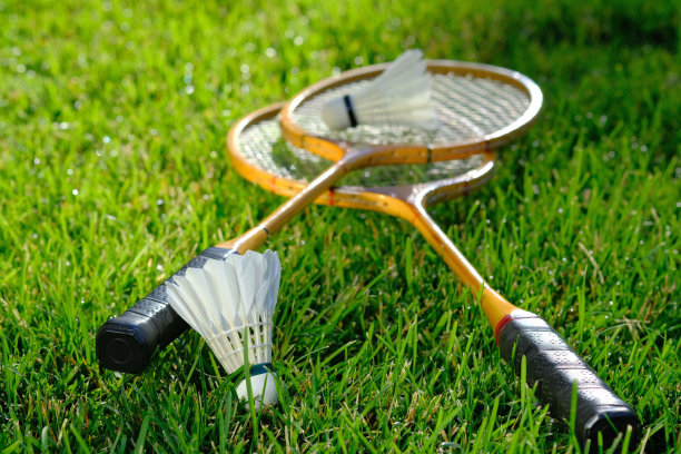 在绿色的运动草坪上打羽毛球。图片下载