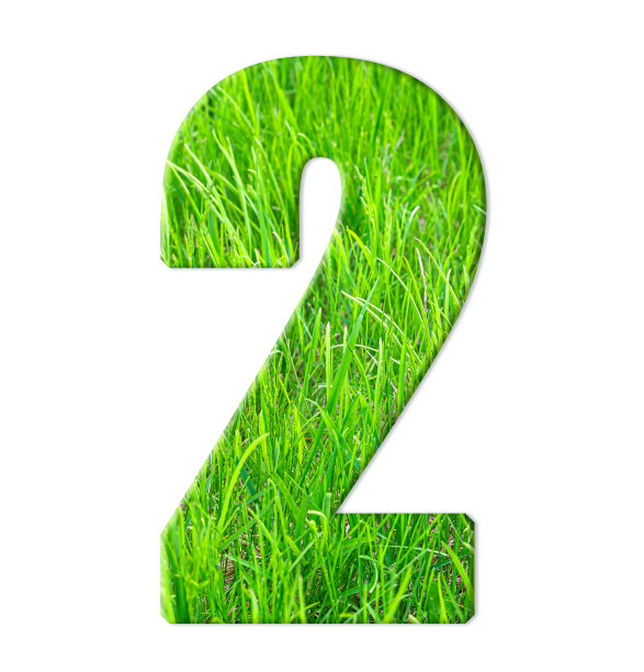 两个与绿色多汁的草的纹理孤立在白色的背景。图片下载