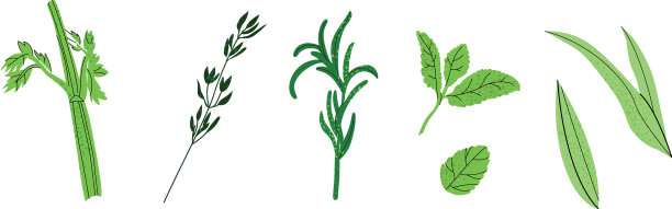 的绿色植物图片下载