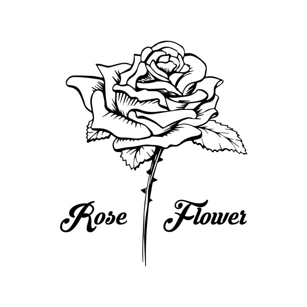 玫瑰花剪纸艺术图片下载