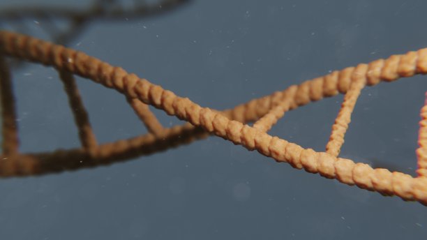 DNA链-三维科学可视化图片下载