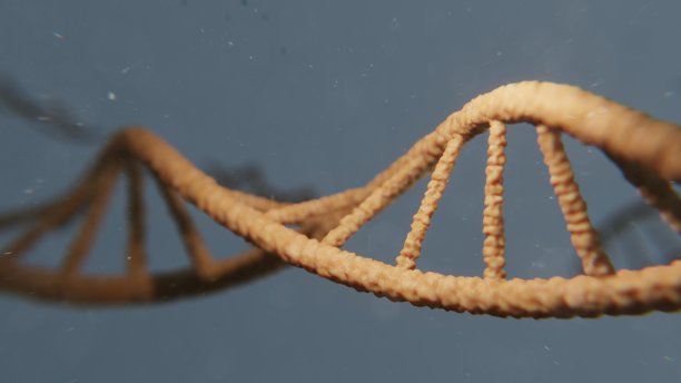 DNA链-三维科学可视化图片下载