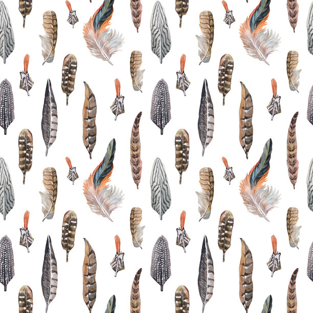 无缝图案水彩蓝色和橙色羽毛鸟公鸡和猫头鹰孤立在白色背景。手绘羽。热带野生动物的艺术。用于贴纸墙纸的包装。庆祝婚礼的邀请图片下载