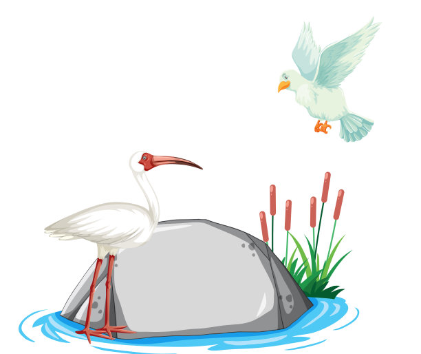 两只鸟飞过岩石图片下载