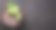 白葡萄放在老酒桶上图片下载