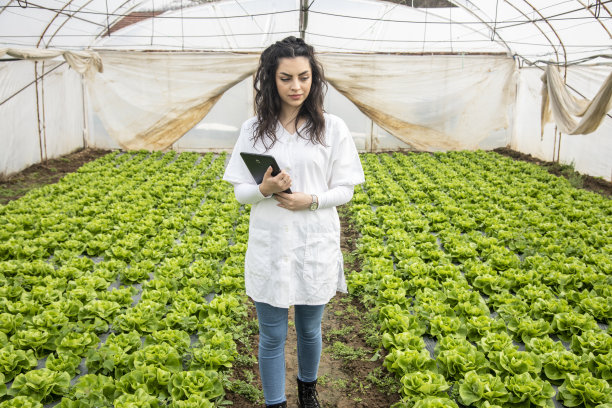 花园里的女人图片下载