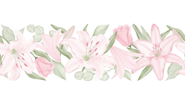 水彩花卉无缝边界与淡粉色百合和浅绿色叶在白色背景，手绘。用于婚礼请柬，纺织品，壁纸，贺卡，剪贴簿，包装。图片下载