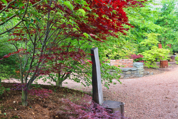 卡皮亚斯花园中五颜六色的植物。图片下载