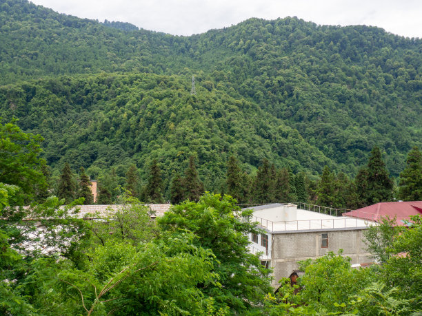 山里的房子。森林里的建筑。人与自然。图片下载