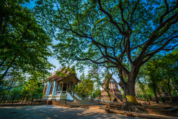 查特约寺或佛塔寺玛哈维汉寺，七塔寺，是泰国清迈的主要旅游景点。傍晚时分，清迈寺。图片下载