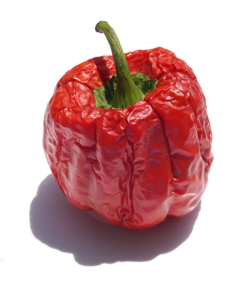 干辣椒图片下载