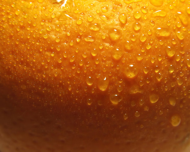 水倒在白色背景的橘子上。清爽的橙色。新鲜多汁的橘子图片下载