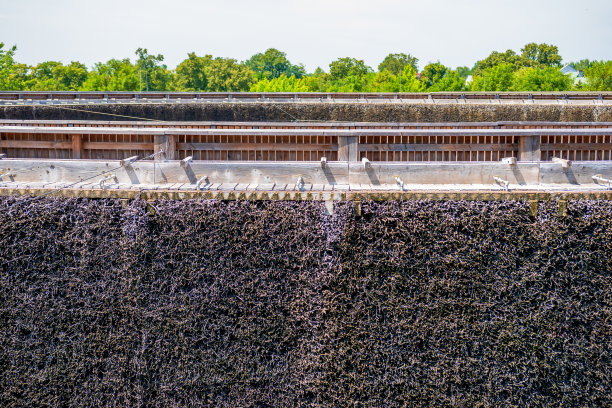 毕业塔在Busko-Zdrój。温泉公园。黑荆壁与元素卤水分度塔技术图片下载