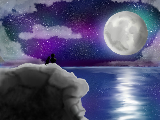 有美丽的星云，满月，星星的海景图片下载